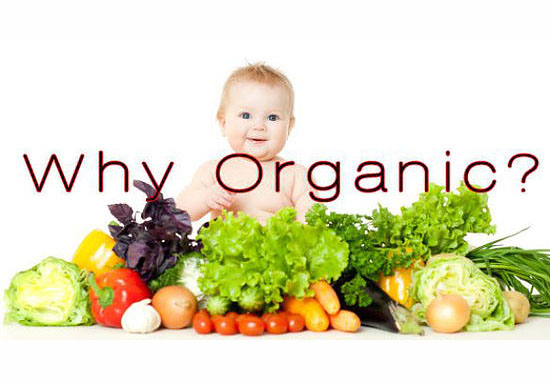 Don’t Panic & Go Organic!