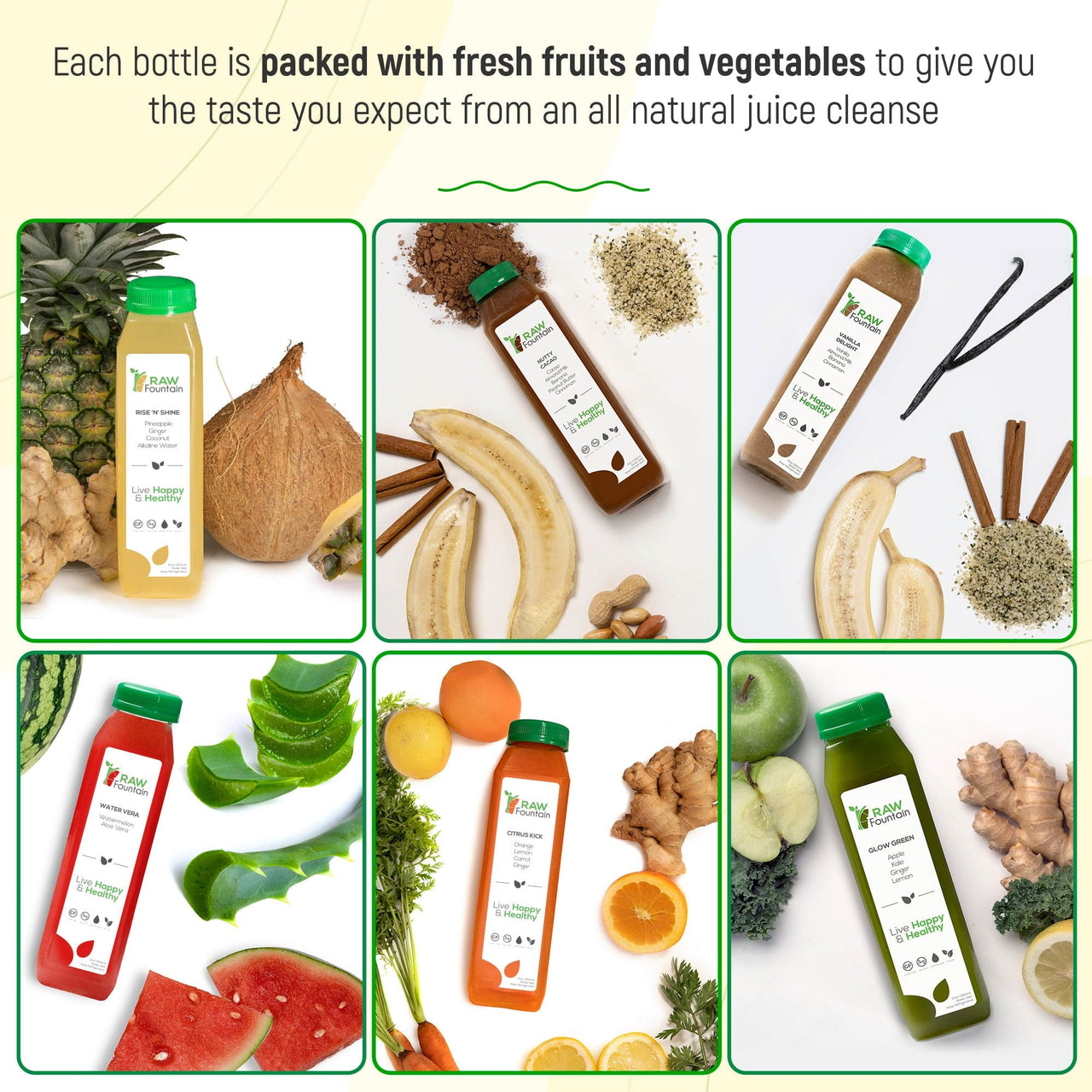 3 Day Protein Juice Cleanse All Natural Raw and Cold Pressed 18 Bo