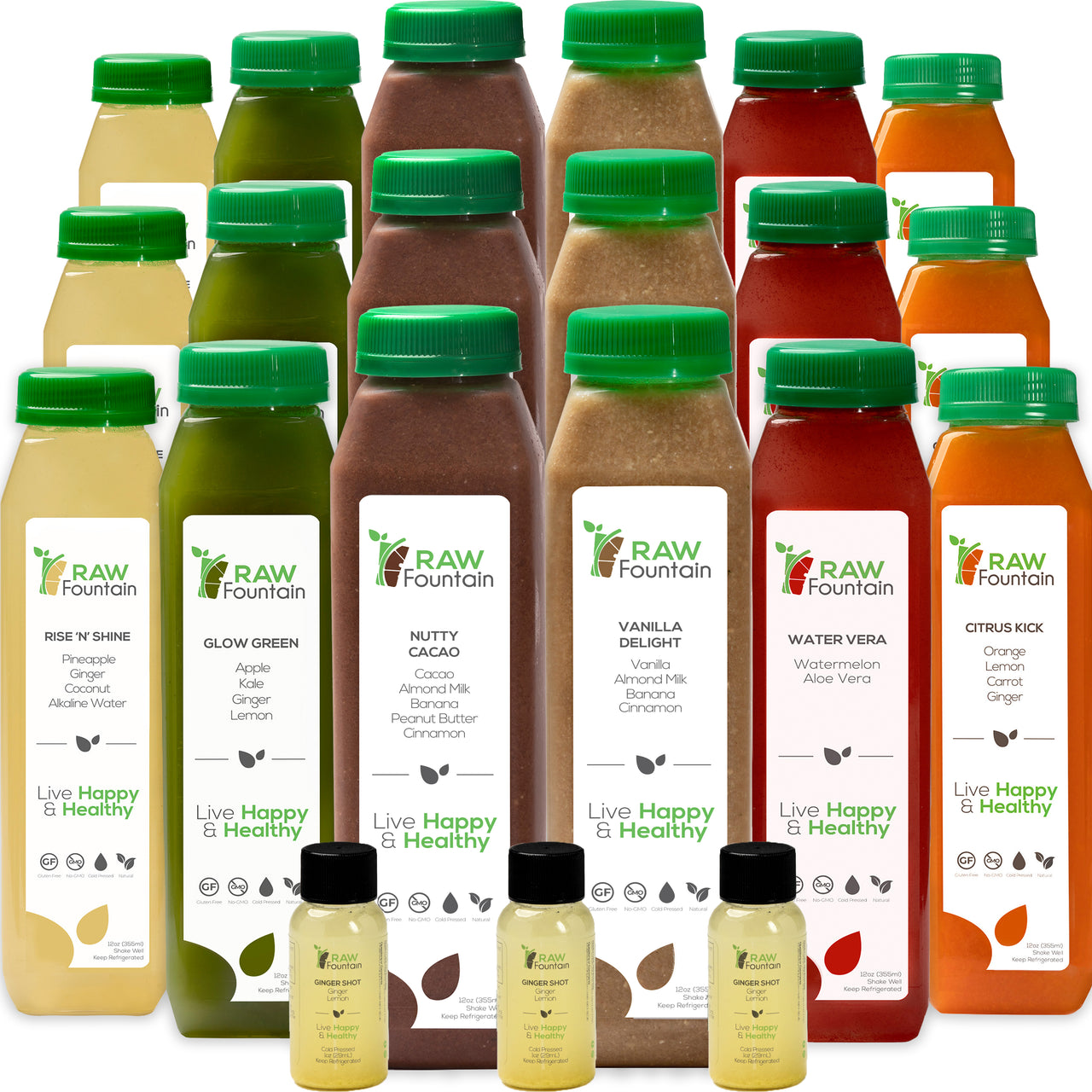 3 Day Protein Juice Cleanse | All Natural Raw and Cold Pressed | 18 Bottles