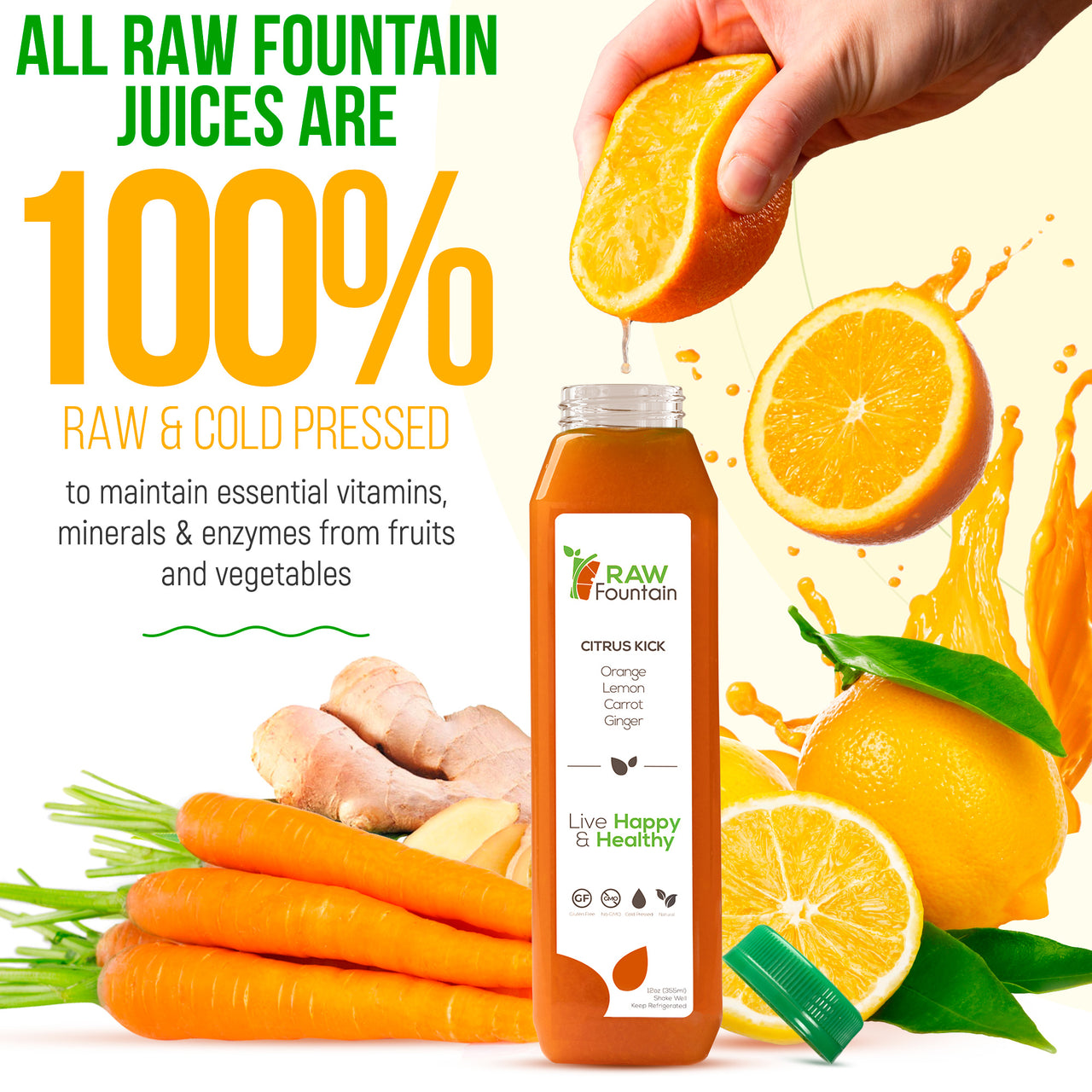 3 Day Juice Cleanse | Raw Cold Pressed | All Natural Detox | 18 Bottles