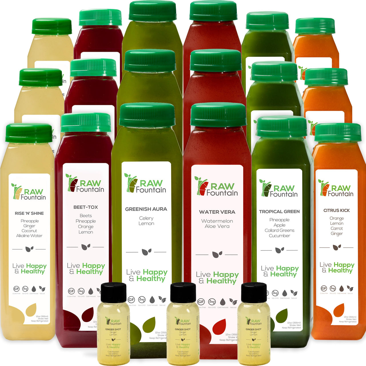 3 Day Tropical Juice Cleanse | All Natural Raw and Cold Pressed | 18 Bottles